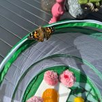 Kurz vor der Entlassung