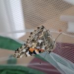 Willkommen auf der Welt