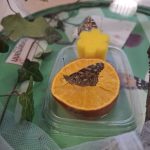 Die Aufzuchtstation im Blick